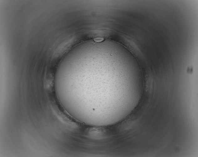 X0000111250077200907091434