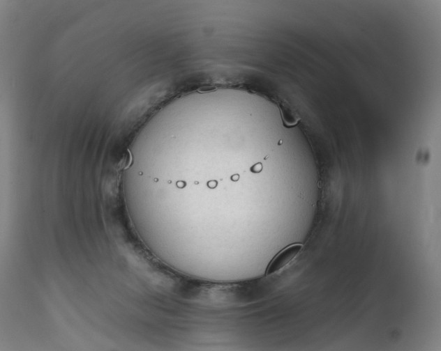 X0000111250078200907091434