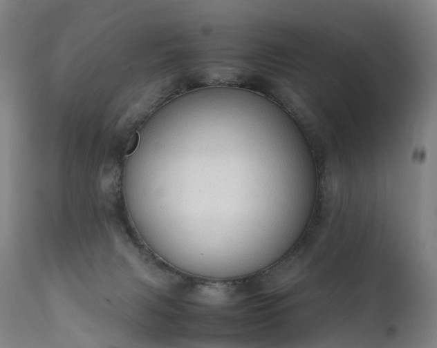 X0000111250079200907091434