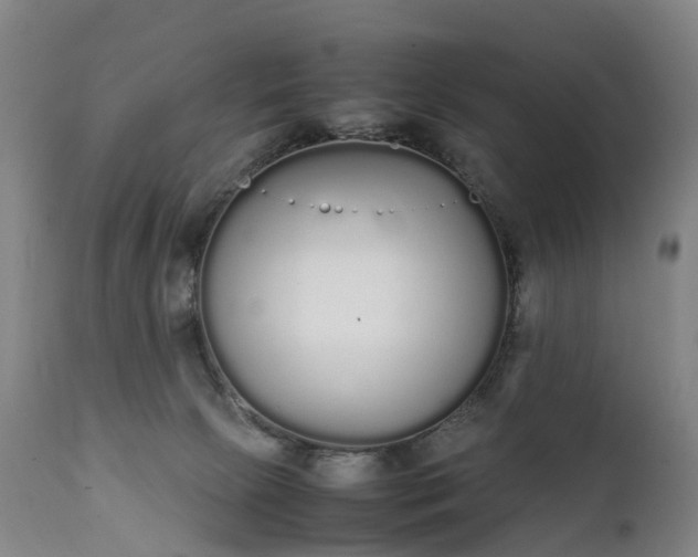 X0000111250081200907091434