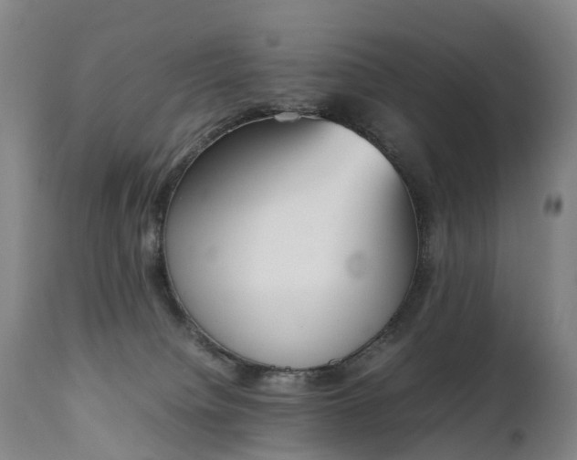 X0000111250084200907091434