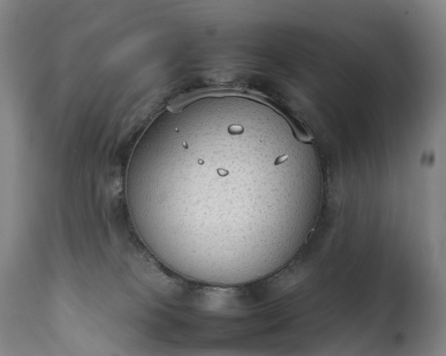 X0000111250085200907091434