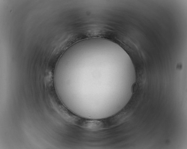 X0000111250087200907091434