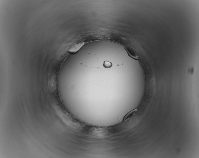 X0000111250088200907091434