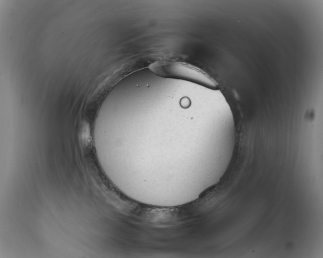 X0000111250089200907091434