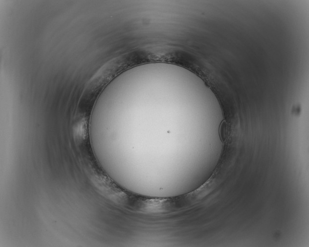 X0000111250090200907091434