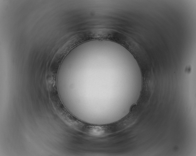 X0000111250091200907091434