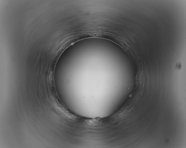 X0000111250092200907091434