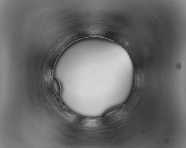 X0000111250093200907091434