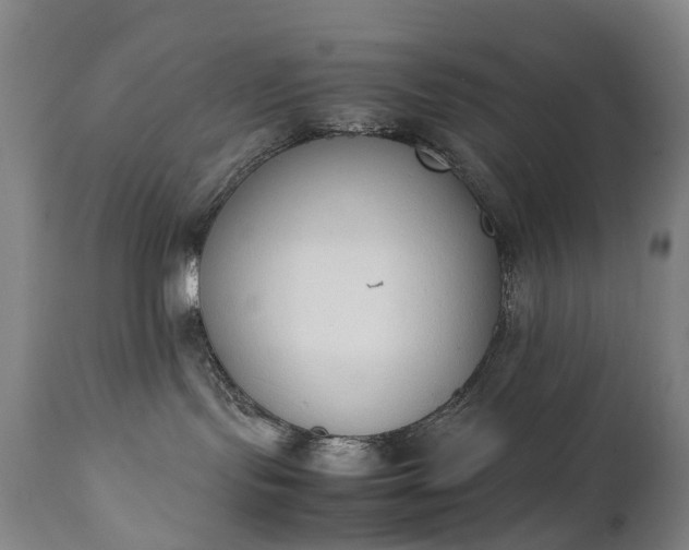 X0000111250095200907091434