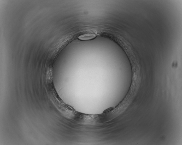 X0000111250096200907091434