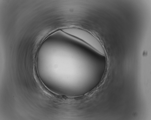 X0000111250097200907091433