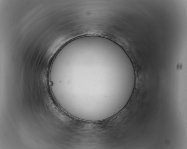 X0000111250098200907091433