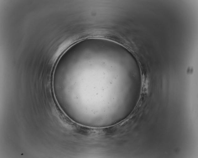 X0000111250099200907091433