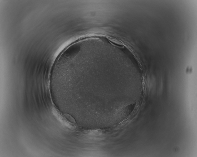 X0000111250100200907091433