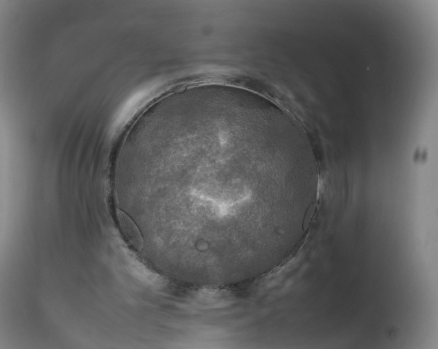 X0000111250101200907091433