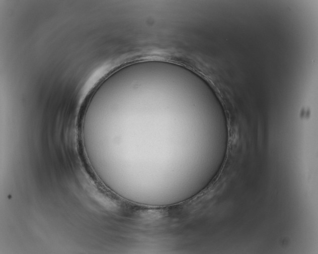 X0000111250102200907091433