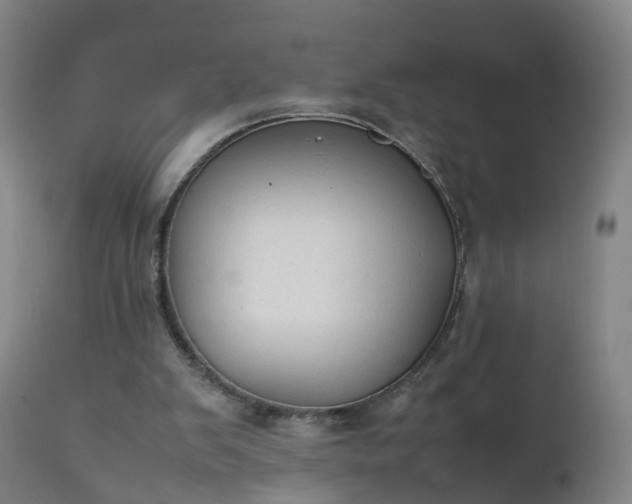 X0000111250103200907091433