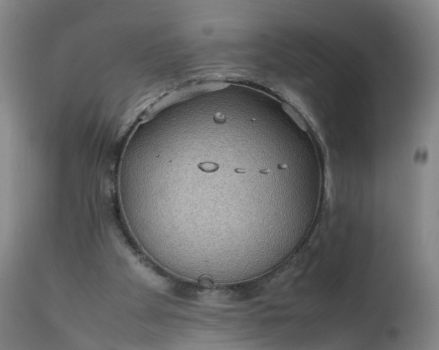 X0000111250105200907091433