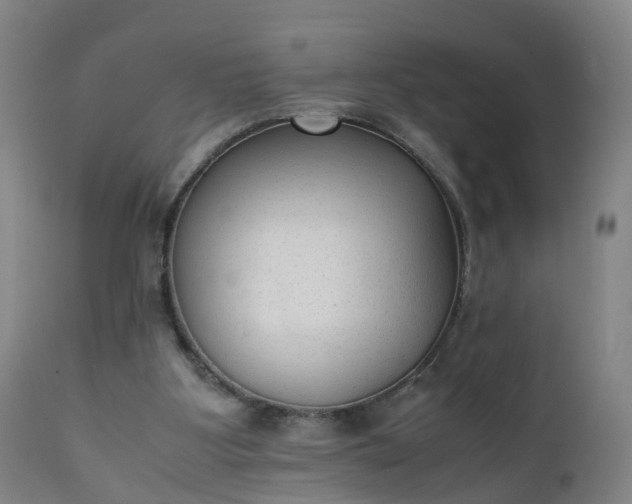 X0000111250107200907091433