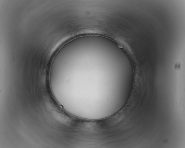 X0000111250108200907091433