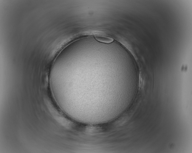 X0000111250109200907091433