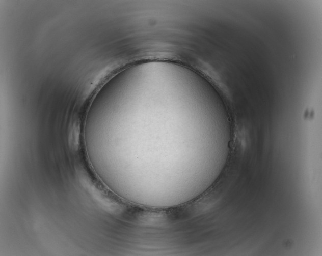 X0000111250110200907091433