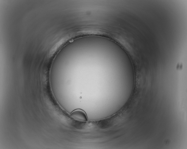 X0000111250111200907091433