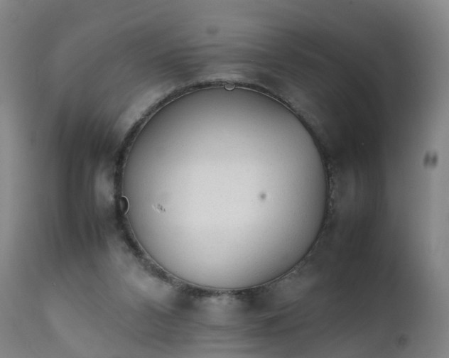 X0000111250112200907091433