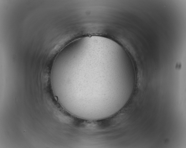 X0000111250113200907091433