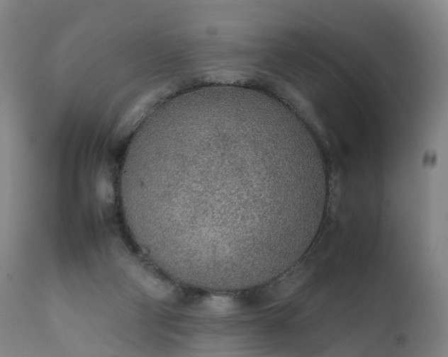 X0000111250114200907091433