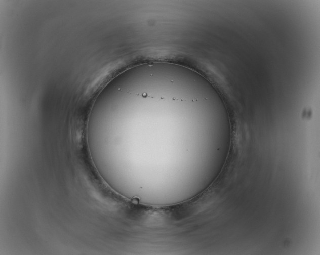 X0000111250115200907091433