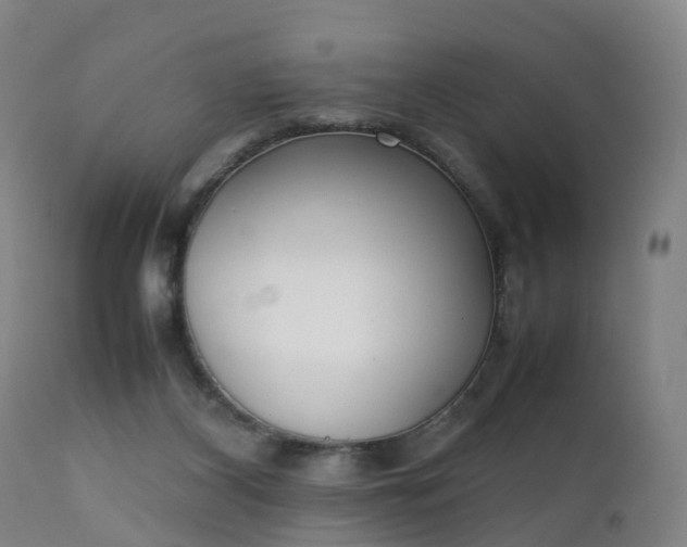 X0000111250116200907091433