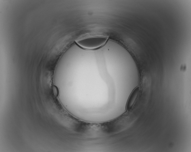 X0000111250121200907091433