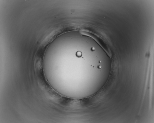 X0000111250123200907091433