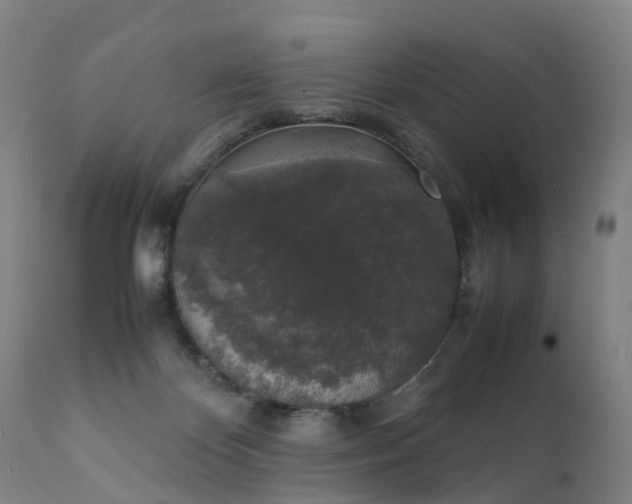 X0000111250124200907091433