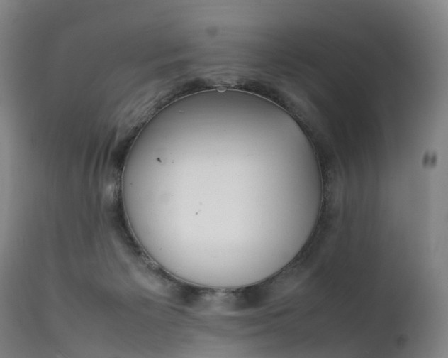 X0000111250125200907091433