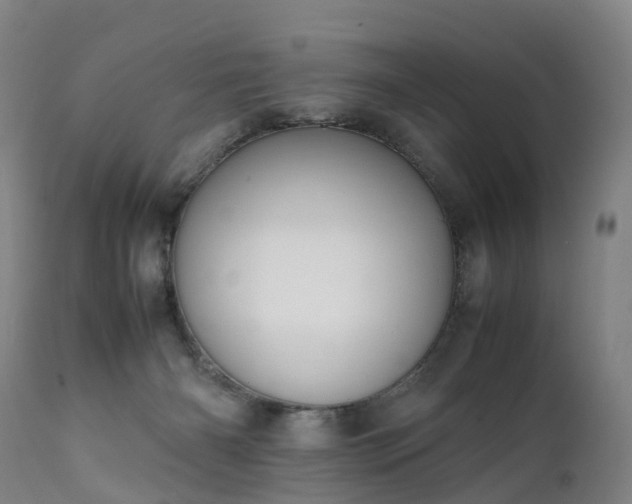 X0000111250126200907091433