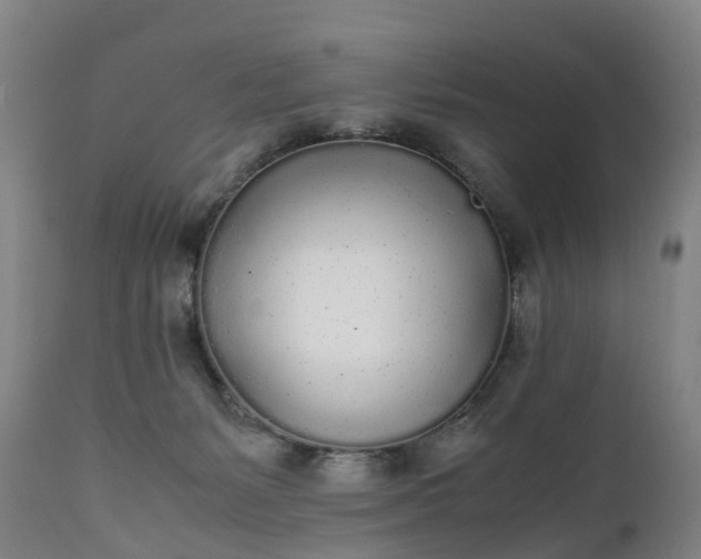 X0000111250127200907091433