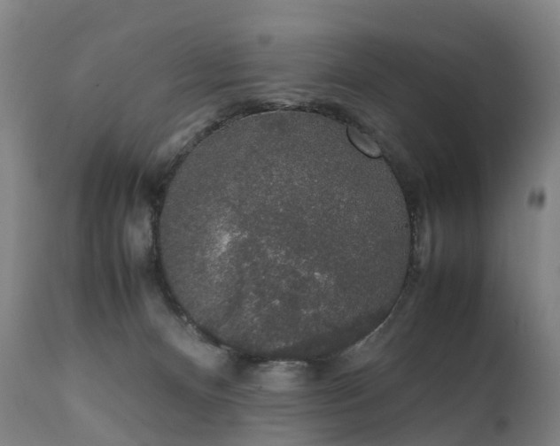 X0000111250128200907091433