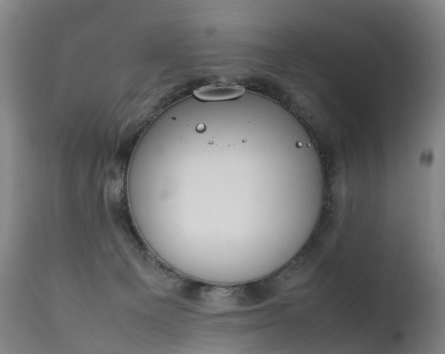 X0000111250129200907091433