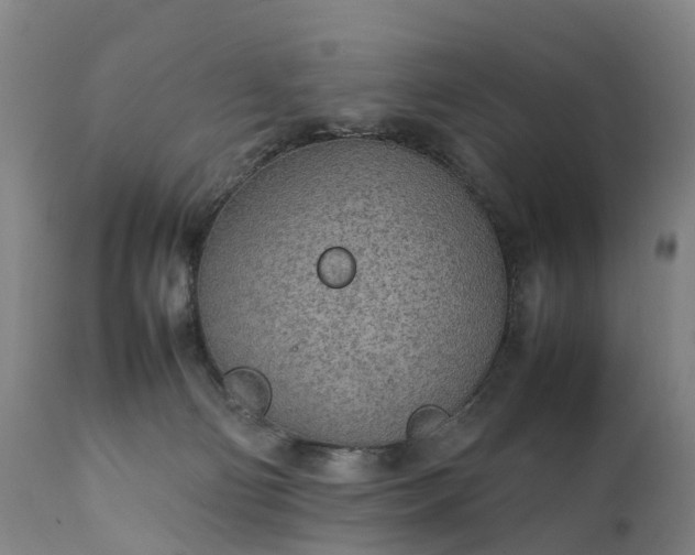 X0000111250130200907091433