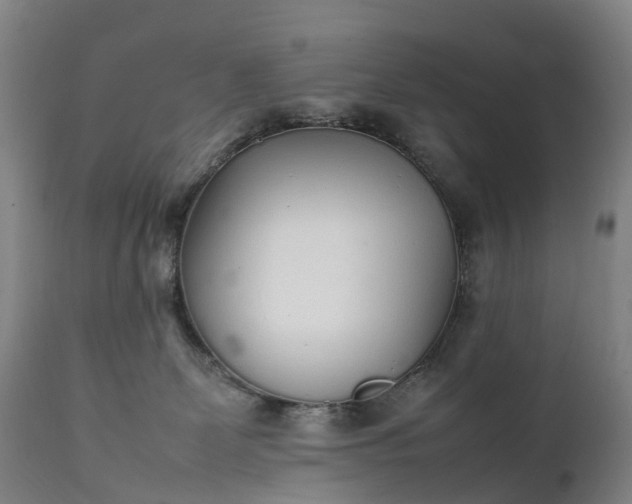 X0000111250131200907091433