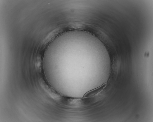 X0000111250132200907091433