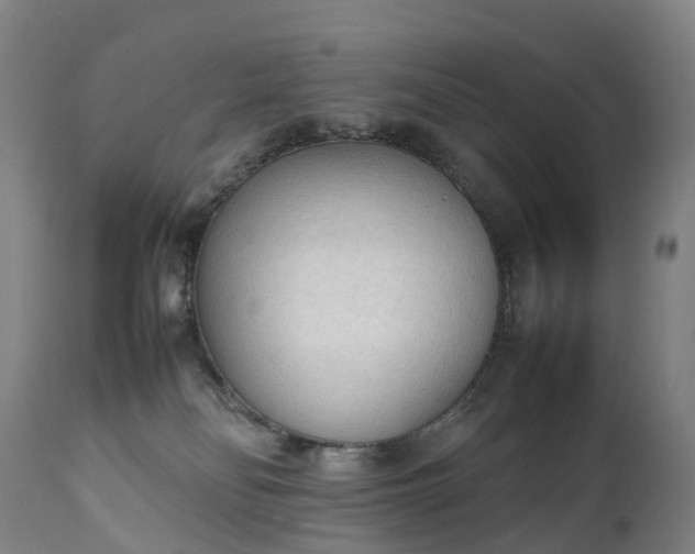 X0000111250134200907091432