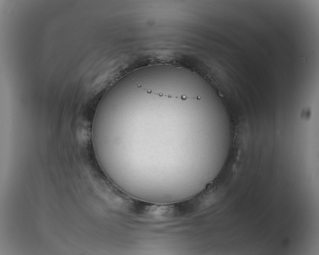 X0000111250135200907091432