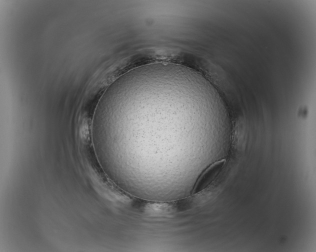 X0000111250137200907091432