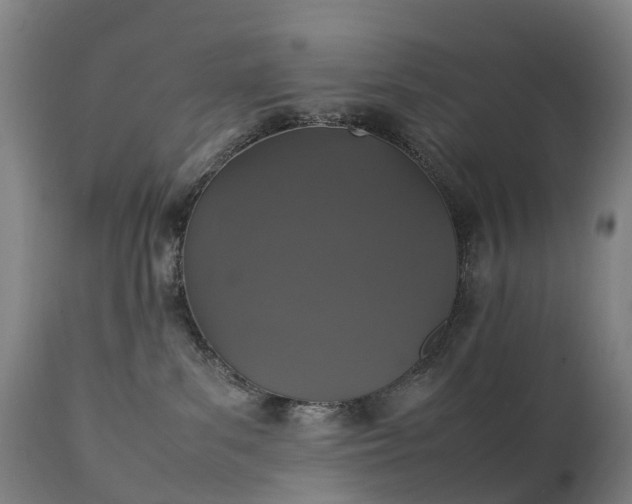 X0000111250139200907091432