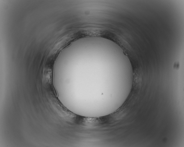 X0000111250141200907091432