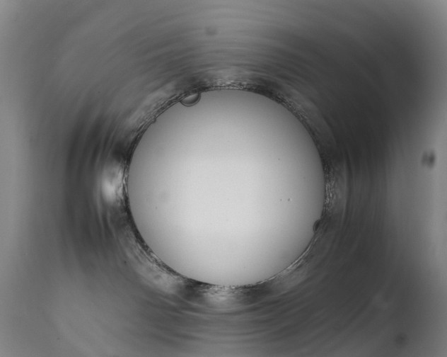 X0000111250142200907091432